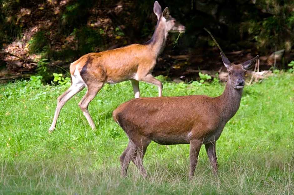 Nashira Kurpark Hotel -100 prozent barrierefrei-