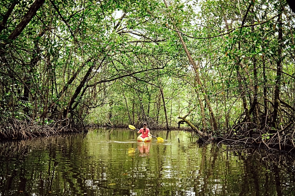 La Loma Jungle Lodge And Chocolate Farm