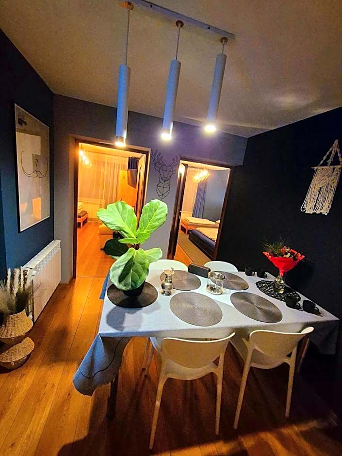 Pensjonat Harmatówka - ATRAKCYJNY PAKIET ŚWIĄTECZNY - blisko basenów termalnych