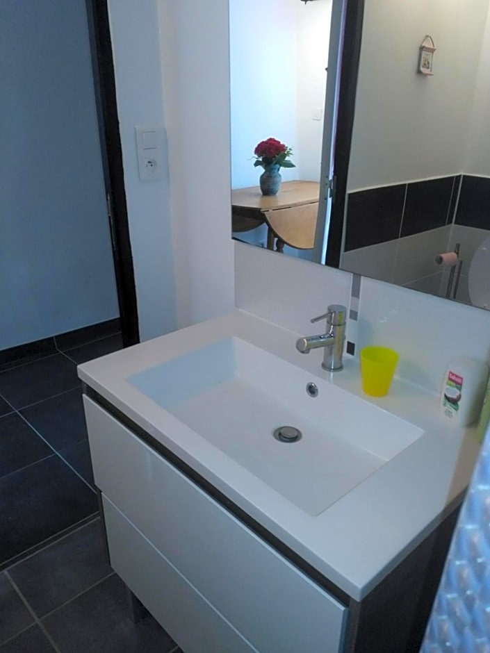 Le camélia de la mazarié