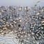 Skyfire Village Igloos