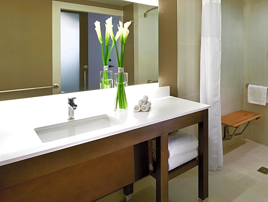 Photo 1 of 1 of 1 King Bed Suite, Hearing/Mobility Accessible, Roll in Shower