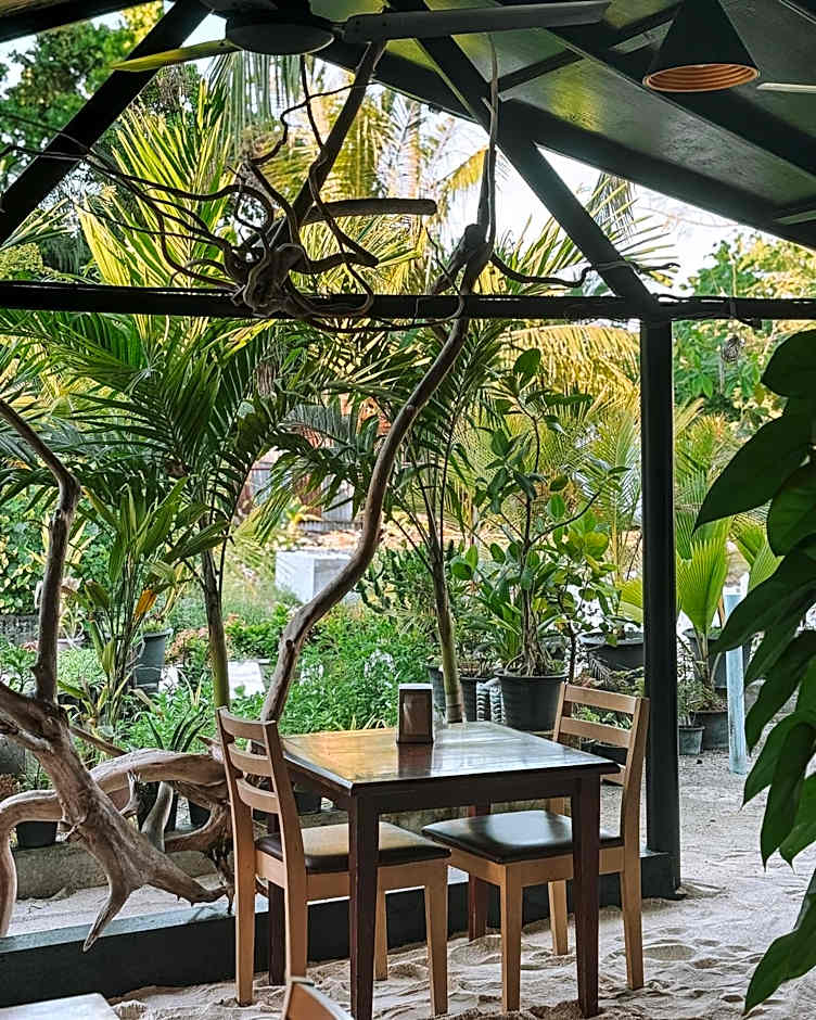 Turtle Maldives - Your Gateway to the Beach & Marine Adventures Await!