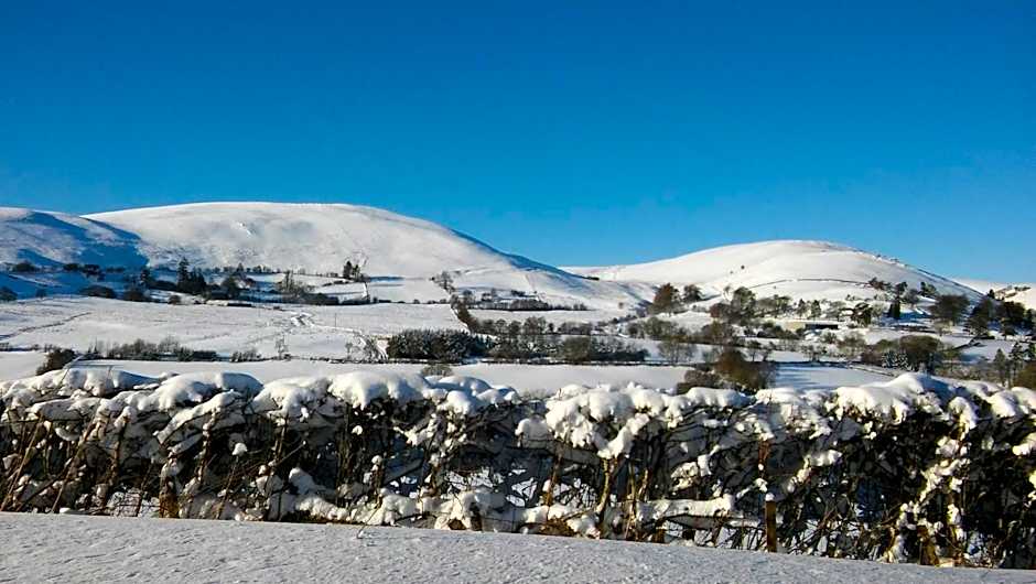 The Old School House Bed and Breakfast