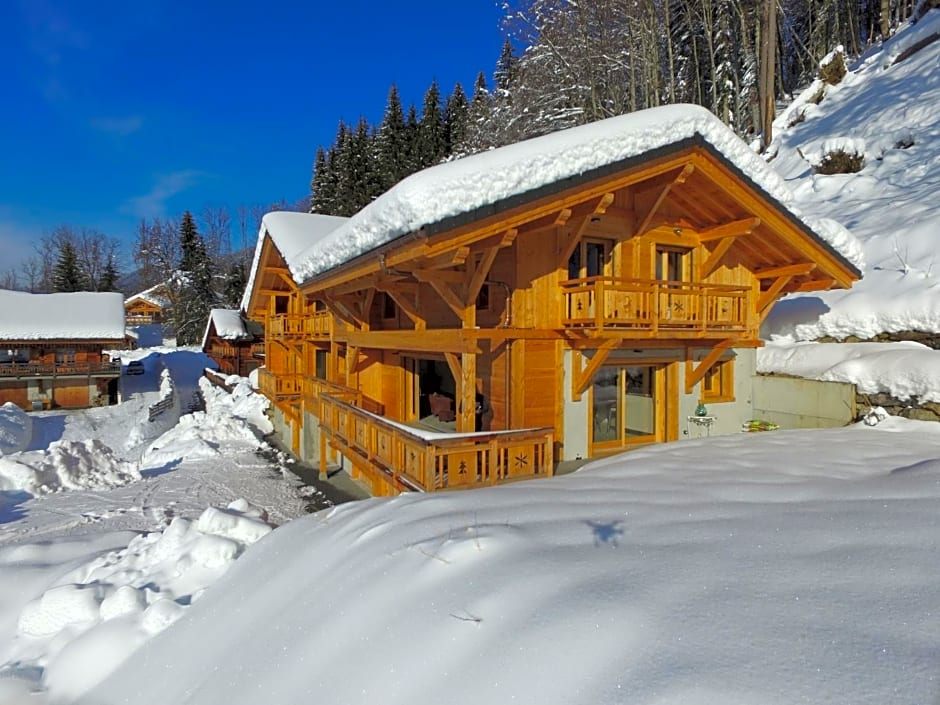 Chalet Arpitan - rentals
