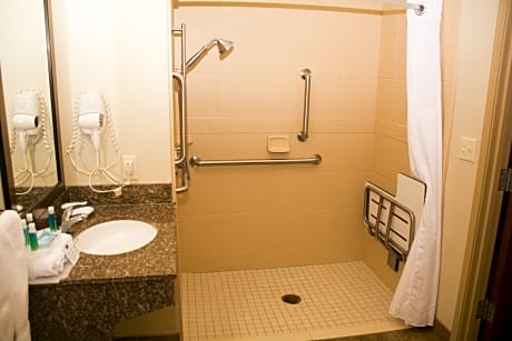 1 King Standard Mobility Accessible Roll In Shower