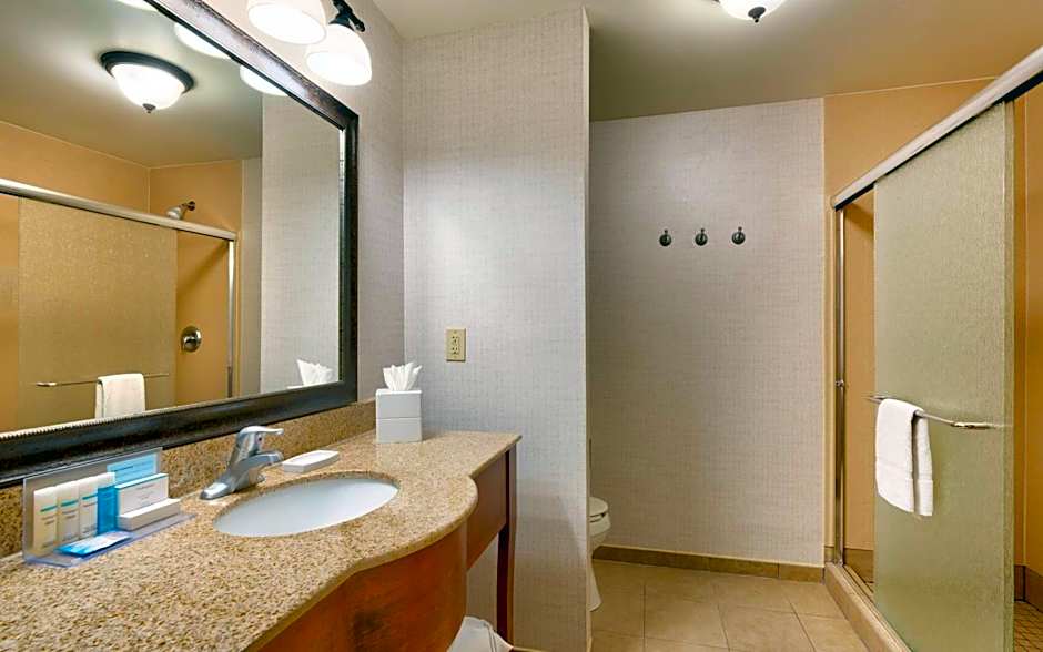 Hampton Inn By Hilton And Suites Show Low-Pinetop