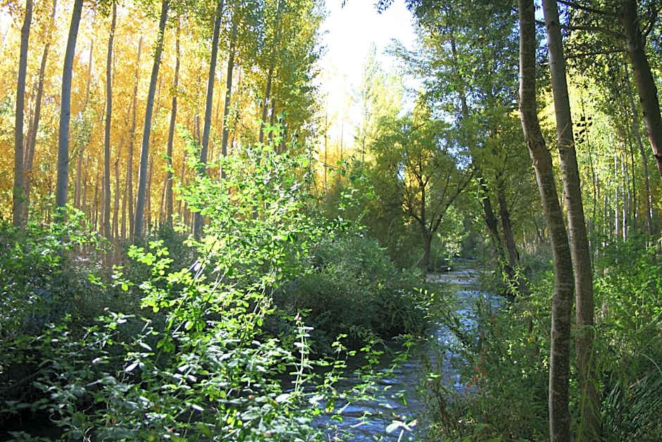 Hotel Ciudad Pozo Alcón