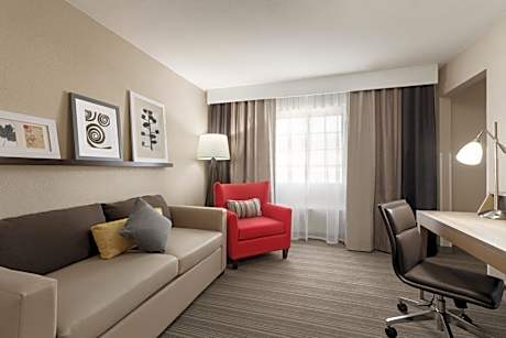 Premium One-Bedroom King Suite - Non-Smoking