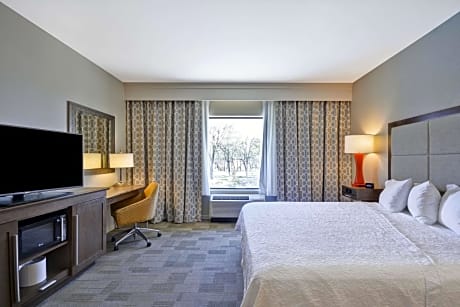 King Room with Sofa Bed - Mobility Access/Non-Smoking