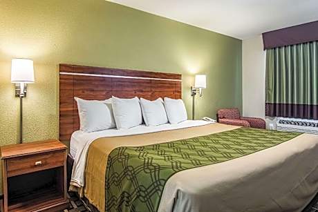 Pet-Friendly 1 King Bed - No Smoking