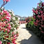 Hotel Filoxenia