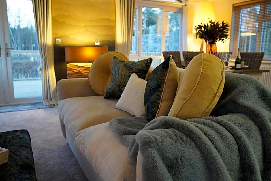 Hollicarrs - The Rushes