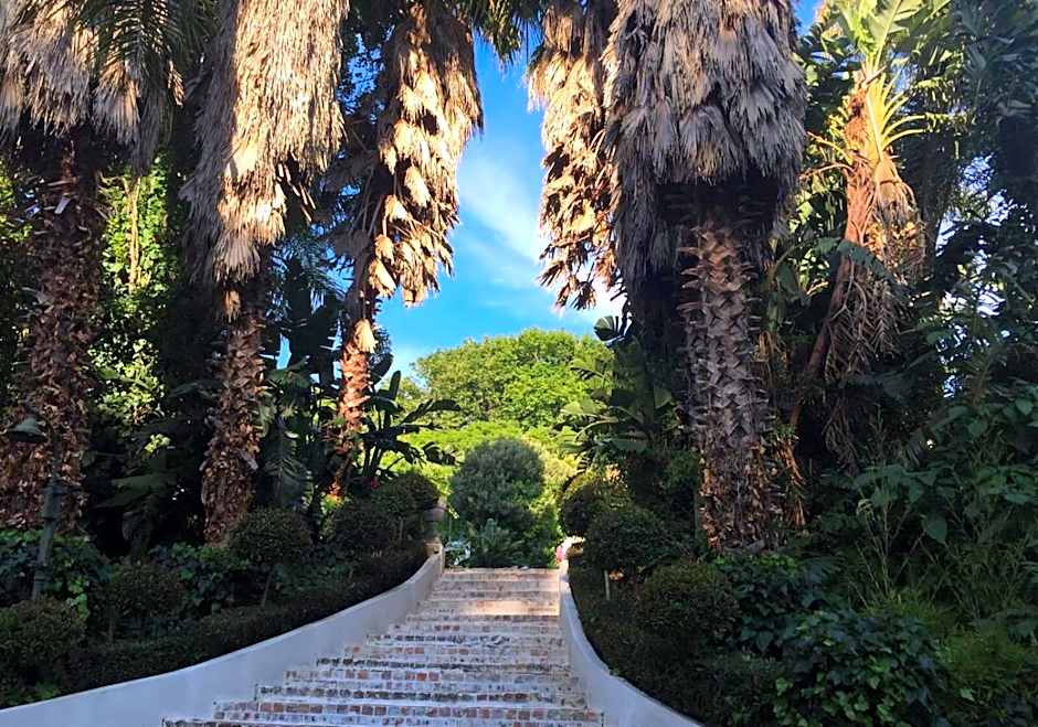 The White Manor – Cape Town, TX