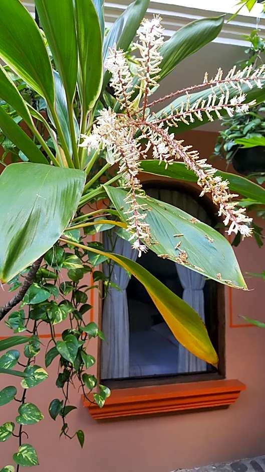 Hotel Posada San Jerónimo