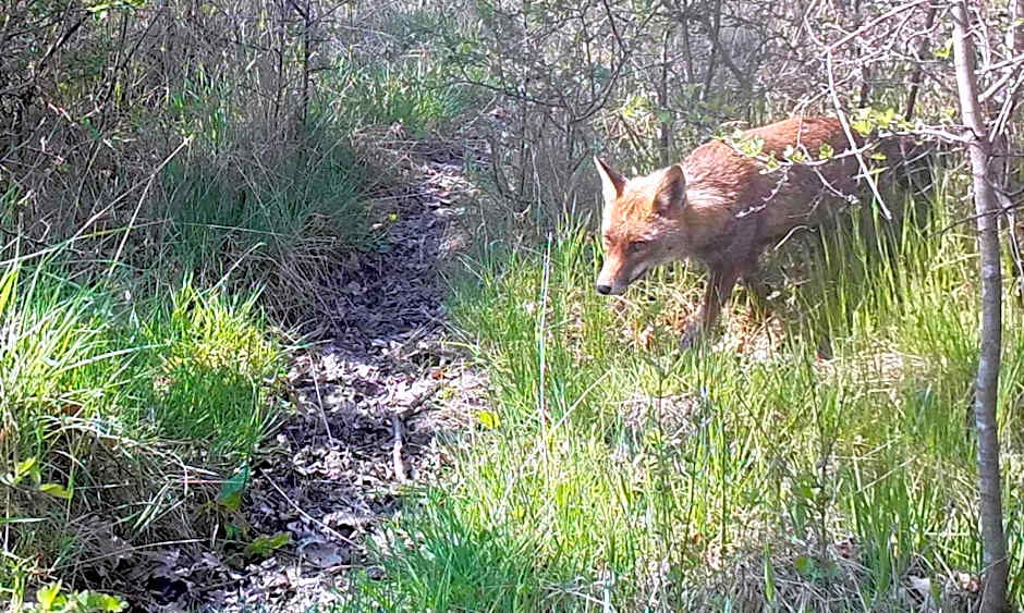 Domaine des Bois Argentés
