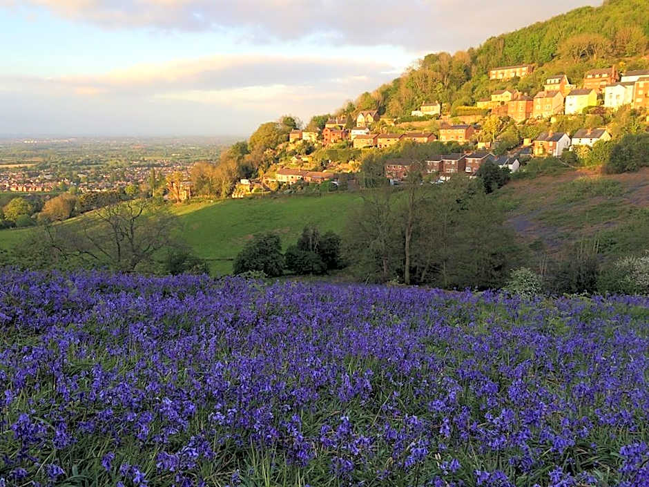 Ashbury Bed & Breakfast