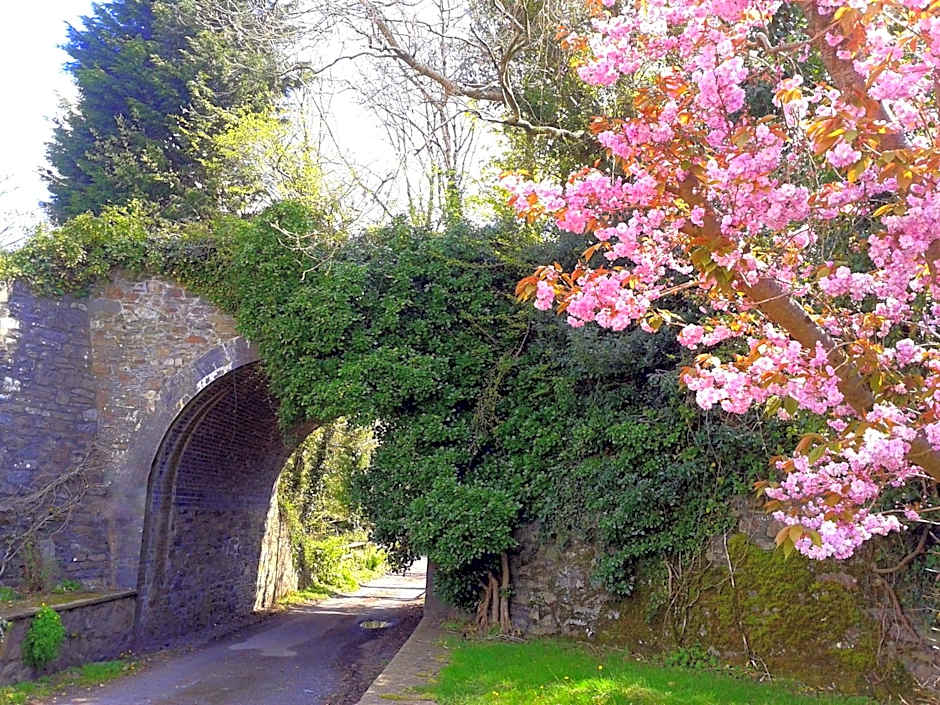 Ivybridge Guesthouse