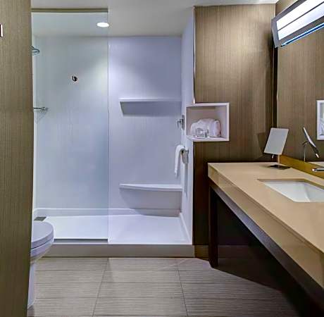 Suite, 1 Bedroom (1 King Bed and 1 Double Sofa Bed)