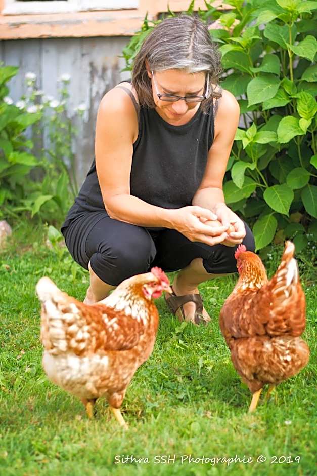 Gîte du Village - Deschambault