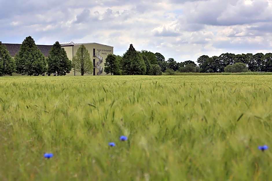 Hotel Moritz an der Elbe