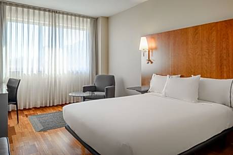 Standard Accessible King, Guest room, 1 King