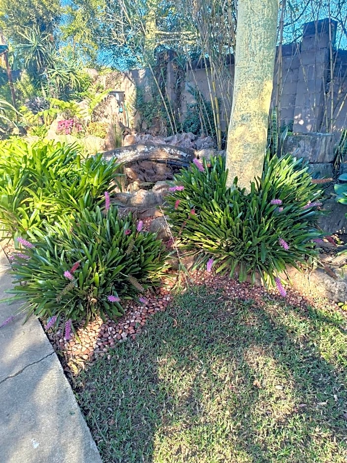 Leopards and Louries Bush Lodge