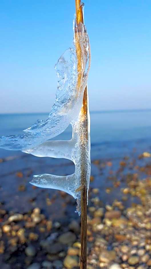 Hotel Alt Wittower Krug