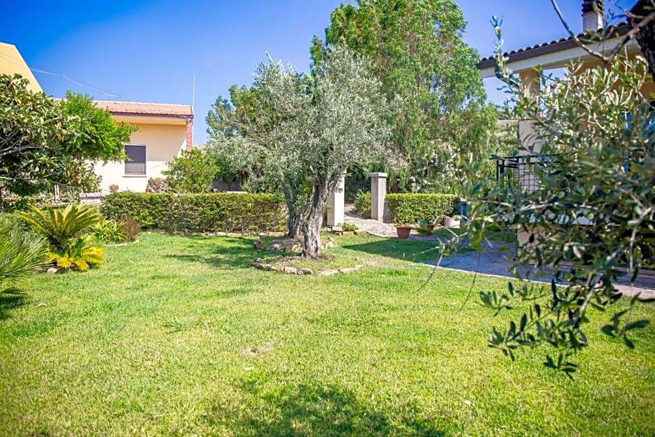 Il giardino degli ulivi