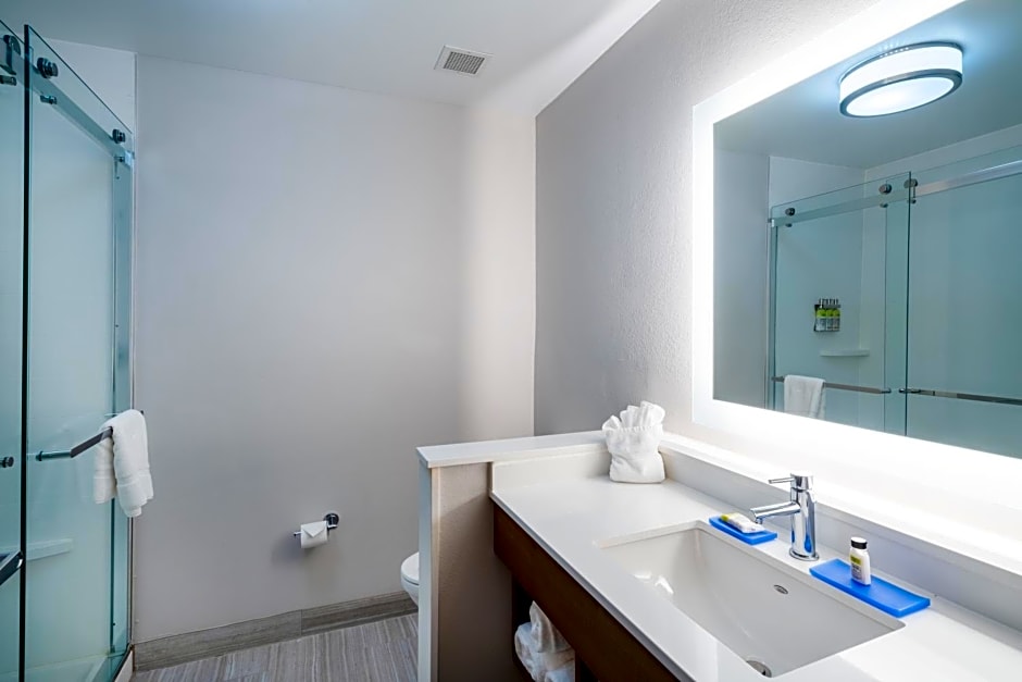 Holiday Inn Express & Suites - Atlanta Arpt NE - Hapeville