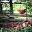 Braeside Mount Macedon Country Retreat Bed and Breakfast