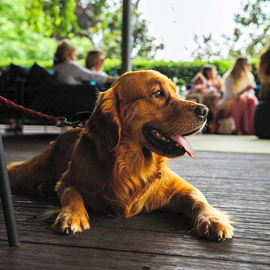 L'Albereta Relais & Chateaux