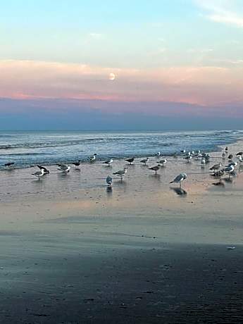 Golden Sands Mablethorpe 8 Birth Caravan