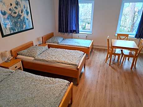 Triple Room with Shared Bathroom and Shared Kitchen