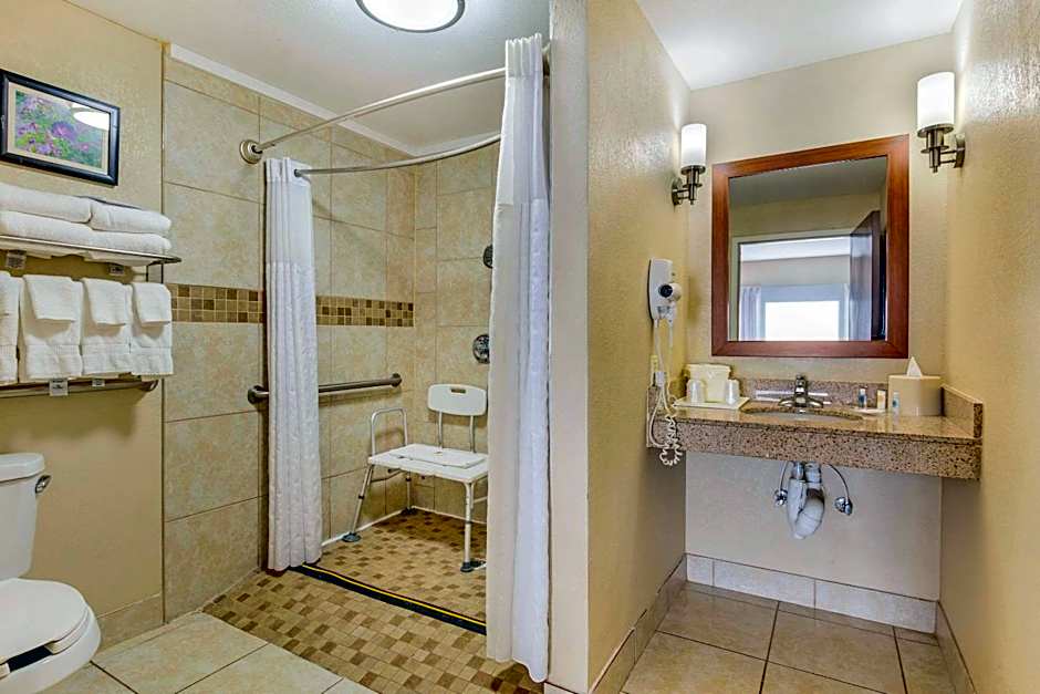 Comfort Suites Wilson - I - 95