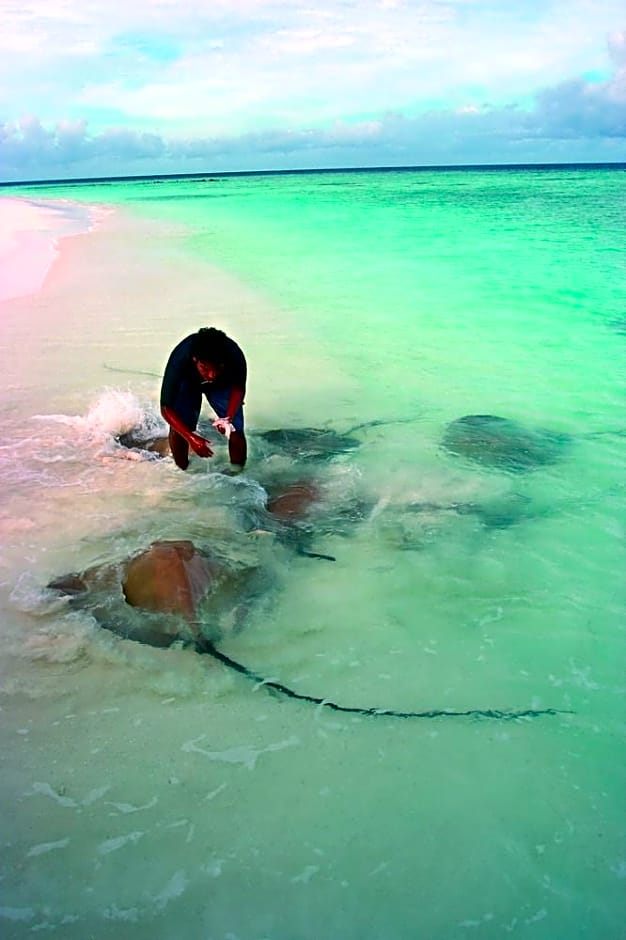 Banyan Tree Vabbinfaru