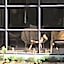 Clef Hotel Bangkok