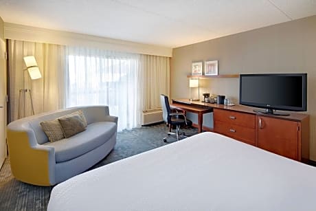 Room, 1 King Bed