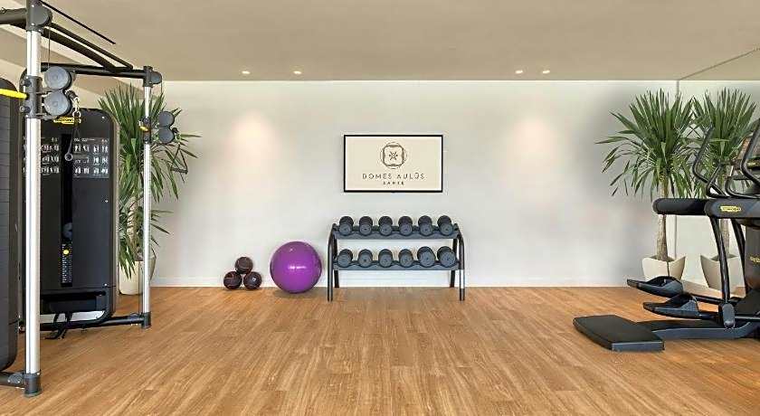 Domes Aulus Zante, Autograph Collection