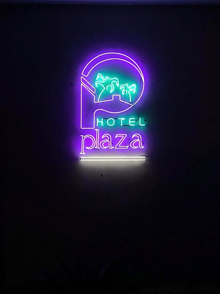 Hotel Plaza Arteaga