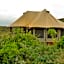 Garden Route Safari Camp
