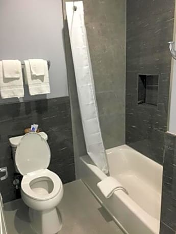 Deluxe King Suite
