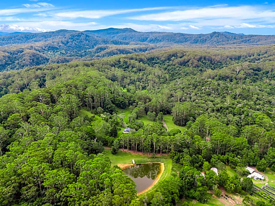 Nightcap Ridge - Byron Bay Hinterland