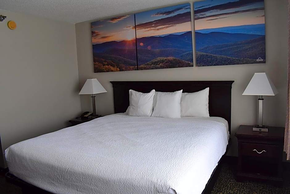 Photo 1 of 16 of 1 King Bed, Nonsmoking