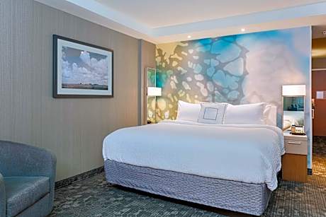 Executive, Larger Guest room, 1 King, Sofa bed