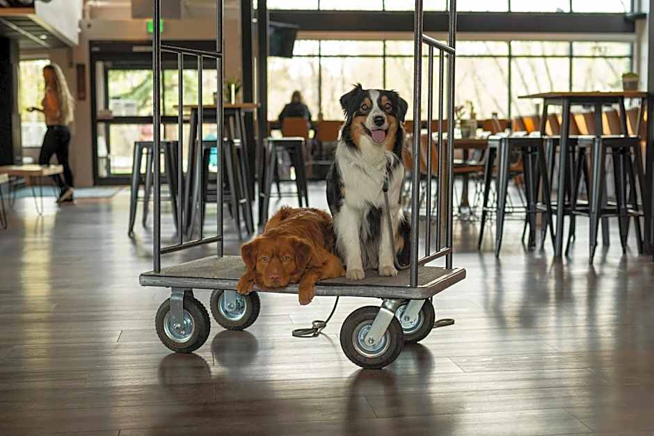 The Block Hotel & Commons