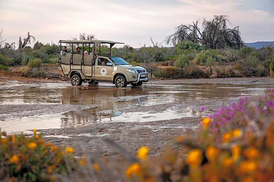 Inverdoorn Game Reserve Lodge