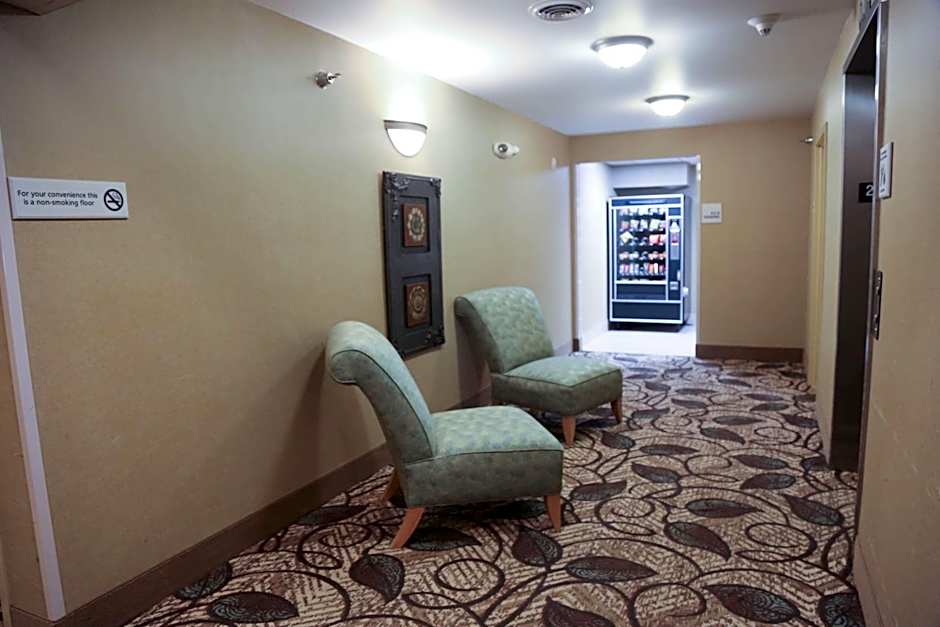 Hampton Inn By Hilton Morehead