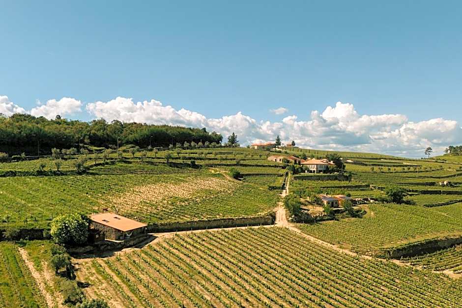 Quinta da Portela - Casa Visconde Arneiros - by RowdHouses