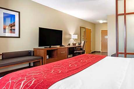 1 King Bed  Suite  No Smoking  Accessible Room